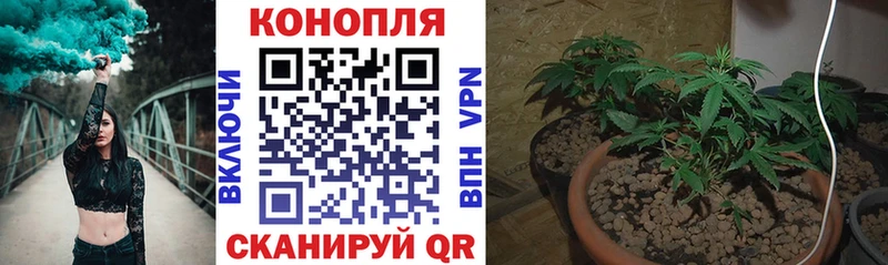 Купить наркоту Курчатов Cocaine  omg ТОР  Псилоцибиновые грибы  Бошки Шишки  Гашиш  Меф мяу мяу 