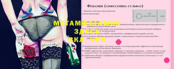прущие грибы Белоозёрский