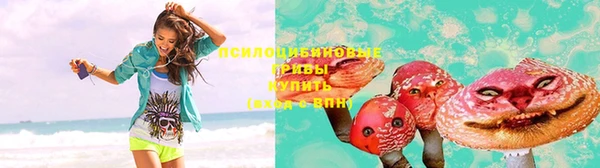 стаф Белокуриха