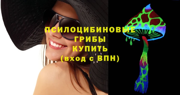 стаф Белокуриха