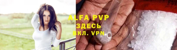 прущие грибы Белоозёрский