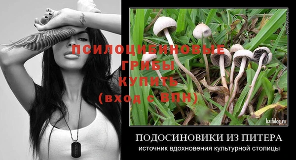 стаф Белокуриха
