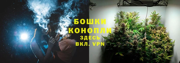 стаф Белокуриха