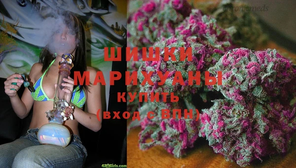 прущие грибы Белоозёрский